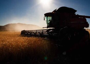 Recorde de exportações: indústria nacional de máquinas fechou 2023 com desempenho histórico de US$ 14 bilhões