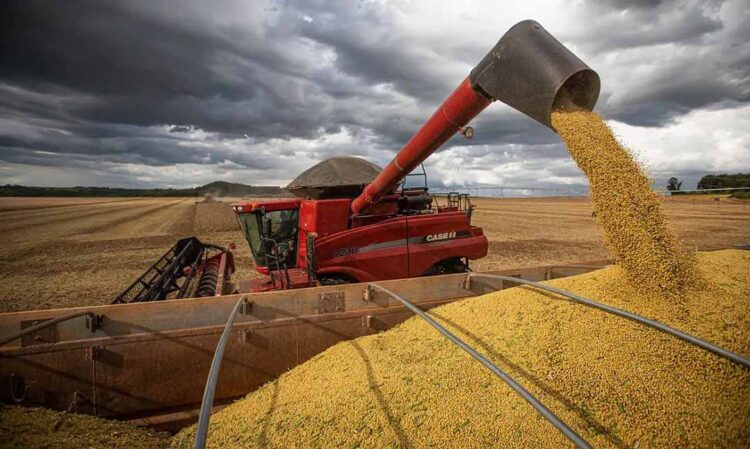 Agro eleva PIB de 2023, soja e milho lideram a produção mundial