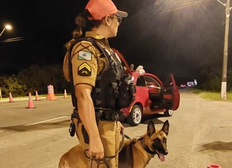 Polícia Militar reforça fiscalização nas rodovias estaduais durante feriado