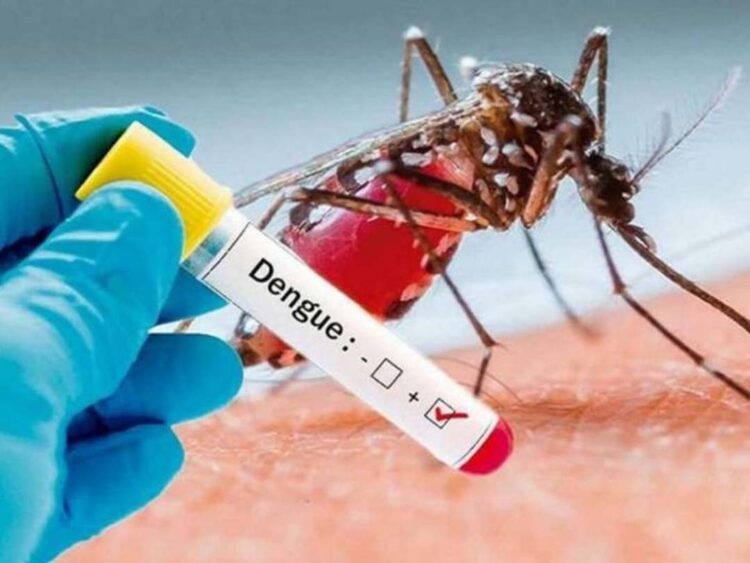 Paranavaí confirma mais de 4 mil casos de dengue no município