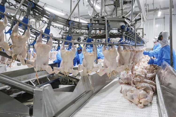 Mais seis plantas paranaenses são habilitadas para exportar frango para a China