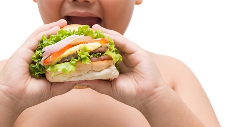 Quase 60% dos paranaenses têm algum grau de obesidade