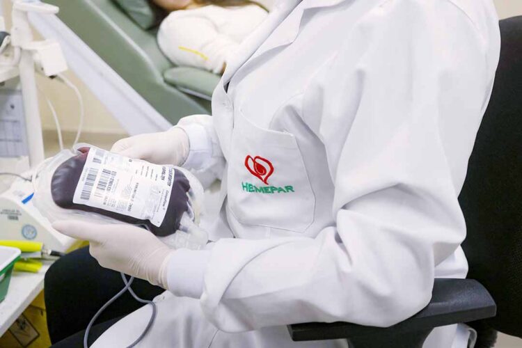 Saúde reforça orientações sobre intervalos entre confirmação de dengue e doação de sangue