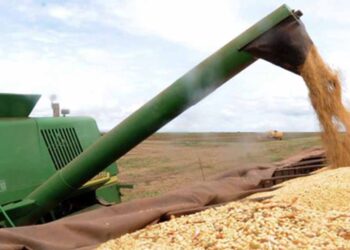 Preço da soja inicia a segunda-feira (11) em alta no Paraná