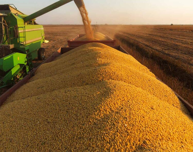 Soja inicia a quinta-feira (14) em alta no Paraná