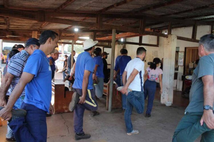 Servidores da Infraestrutura participam de projeto de alongamento laboral