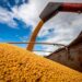 Preço da soja sobe no interior do Paraná