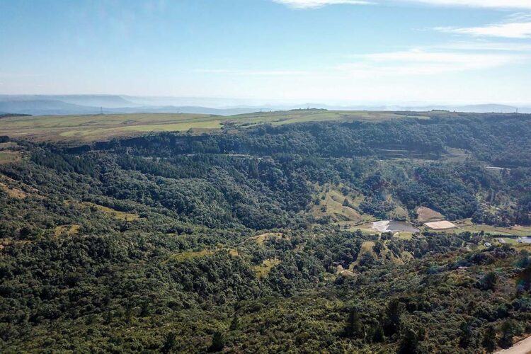 ICMS Ecológico por Biodiversidade: regularização de cadastro encerra dia 30