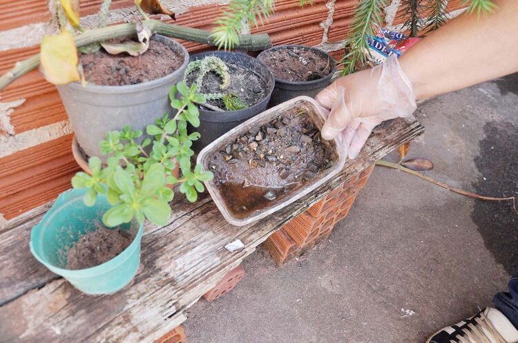 Prefeitura de Santo Antônio do Caiuá promove mutirão de limpeza nesta quinta-feira