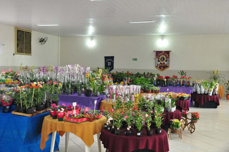 Expoflores segue até domingo em Paranavaí com atendimentos das 9h às 21h