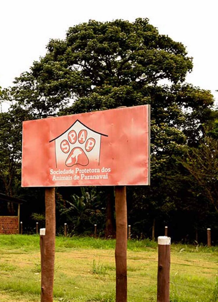 Homem é acusado de abandonar sete filhotes de cachorro em lixeira