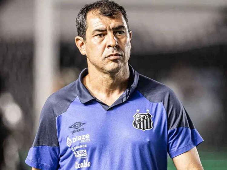 Santos prioriza final, mas já projeta mercado da bola para o Brasileiro