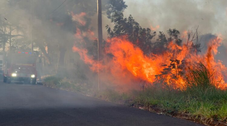 Incêndio atinge vegetação em terreno atrás da Havan