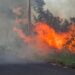 Incêndio atinge vegetação em terreno atrás da Havan