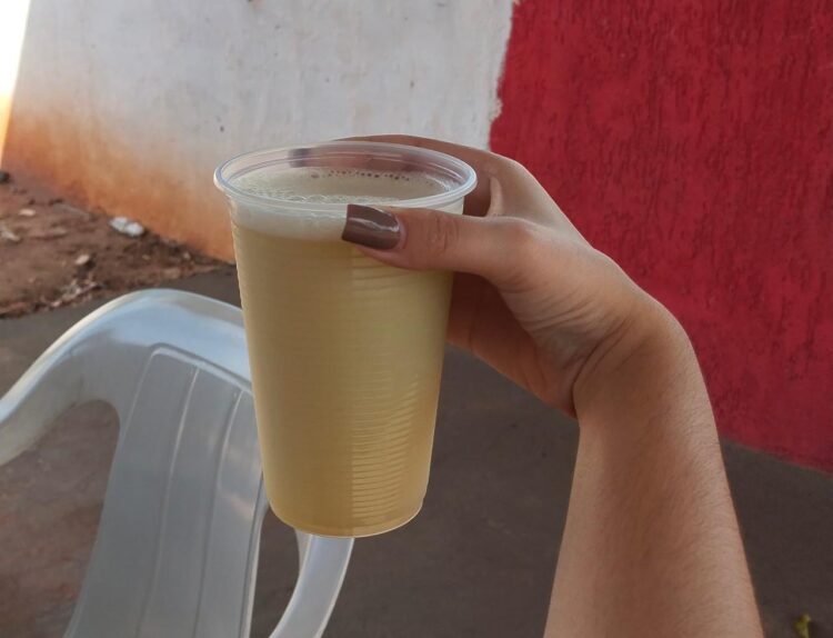 Ivermectina, inhame e caldo de cana são ineficazes no combate à dengue