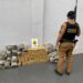 Jovem é preso com veículo carregado de drogas na PR-082
