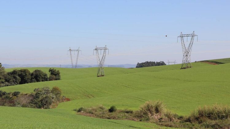 Pesquisa aponta 85% dos produtores rurais  não satisfeitos com fornecimento de energia