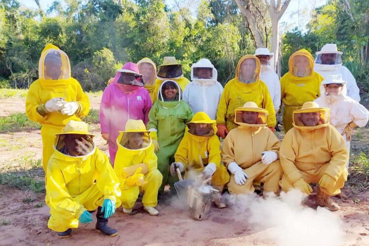 Centro da UEM desenvolve pesquisa genética com abelhas