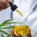 Simpósio nesta sexta-feira debate uso de medicamentos à base de Cannabis sativa