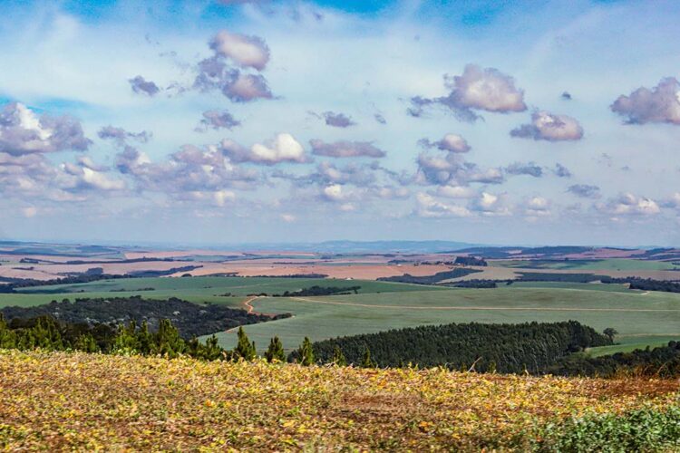 Governo do Estado divulga pesquisa com preços das terras agricultáveis