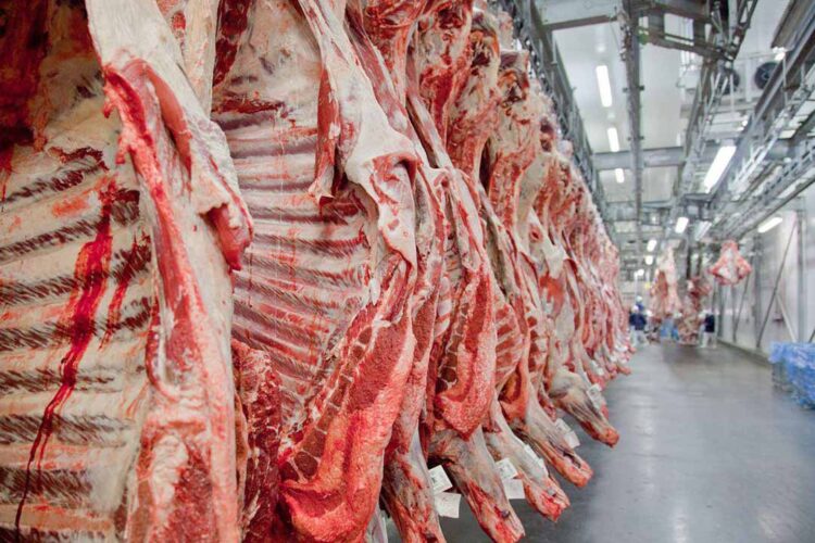Exportações de carne bovina brasileira batem recorde, mas preços seguem em queda