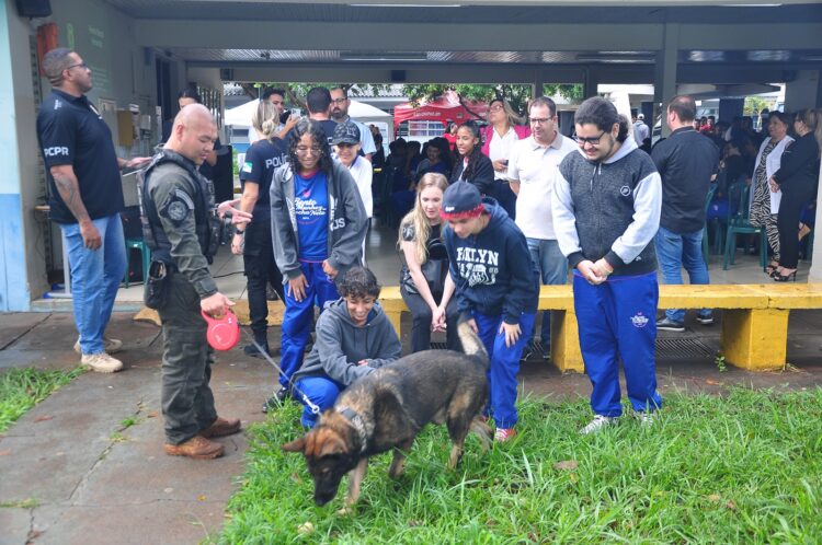 Evento oferece serviços gratuitos até quinta (18)