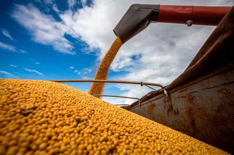 Preço da soja sobe no Paraná e produto chega a ser comercializado a R$ 129,95 em algumas áreas do estado