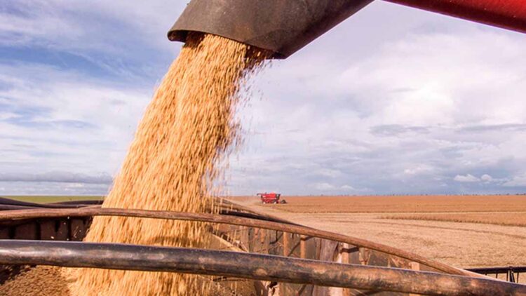 Saca de soja inicia a semana custando R$ 129,64