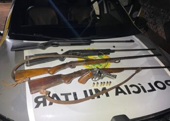 Homem é preso com cinco armas de fogo após agredir esposa em Nova Londrina