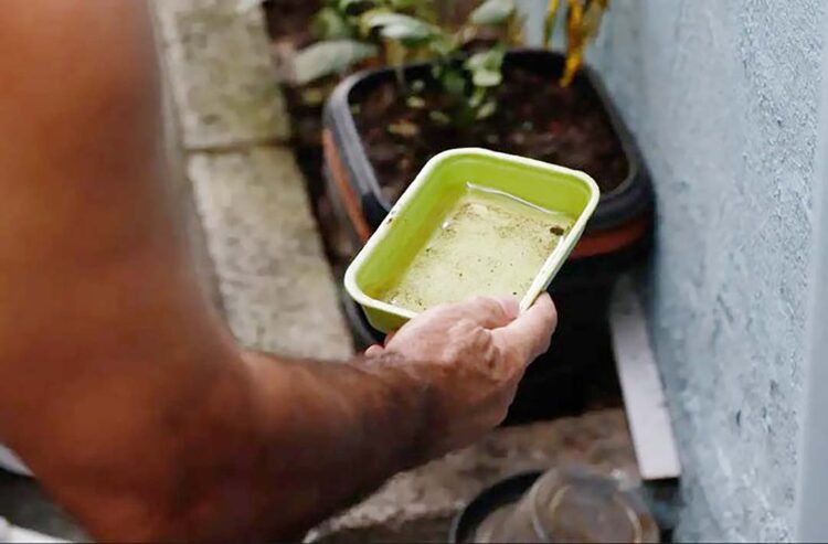 Secretaria da Saúde confirma mais 42 óbitos e 32,8 mil novos casos de dengue