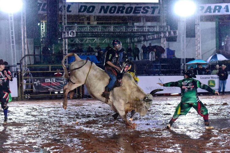 Nesta quarta-feira tem a grande final do rodeio profissional