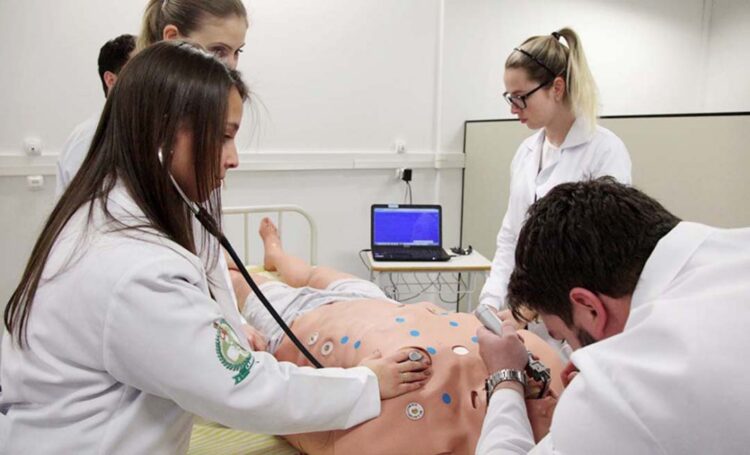 Governo lança editais de R$ 10,5 milhões para fomentar ensino superior paranaense