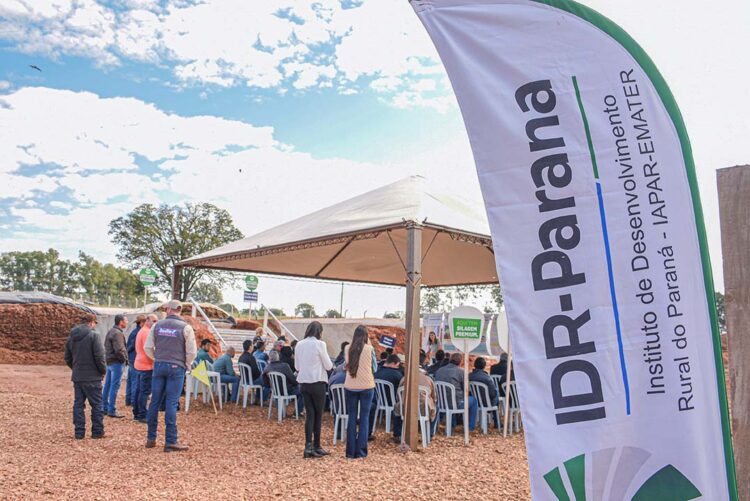 IDR-PR abre inscrições para dia de campo no polo de pesquisa e inovação de Paranavaí