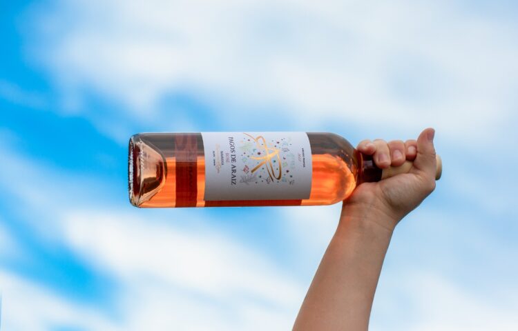 Dia Mundial do Vinho Rosé: saiba mais sobre uma das bebidas mais consumidas no mundo