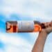 Dia Mundial do Vinho Rosé: saiba mais sobre uma das bebidas mais consumidas no mundo