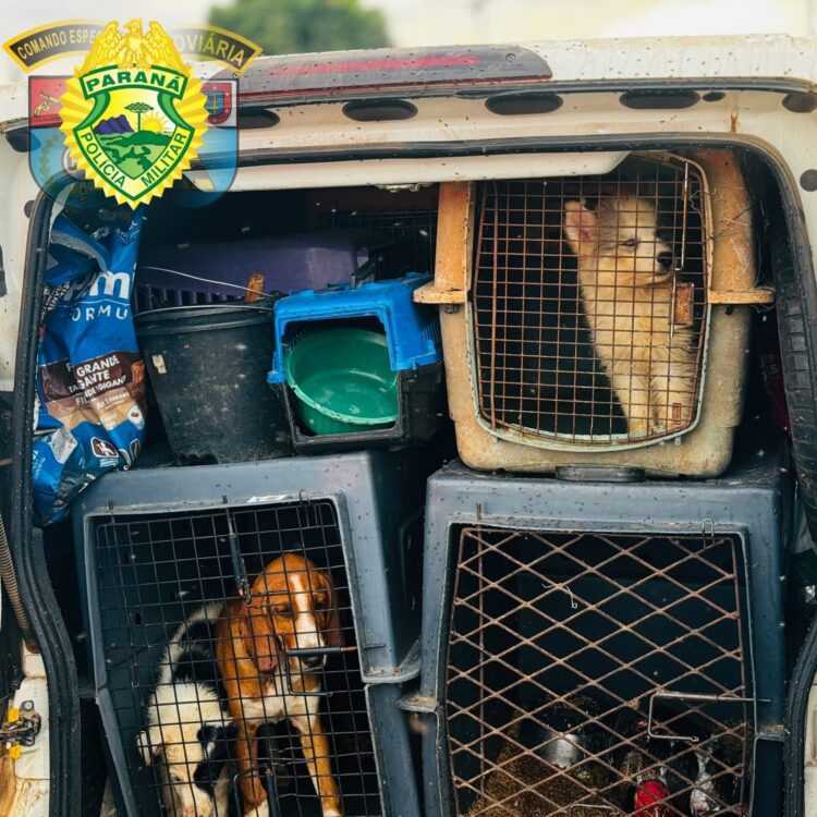 Homem é preso por transportar cães e outros animais sem ventilação e água em Floresta