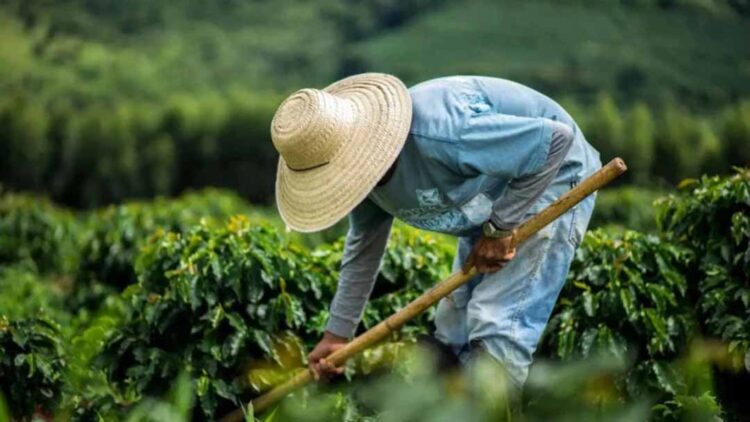 Prazo para produtores rurais emitirem o CCIR vai até 18 de julho, alerta Confederação da Agricultura e Pecuária do Brasil (CNA)