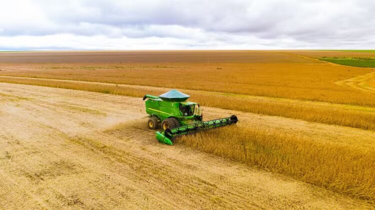 Preço da soja subiu no último fechamento