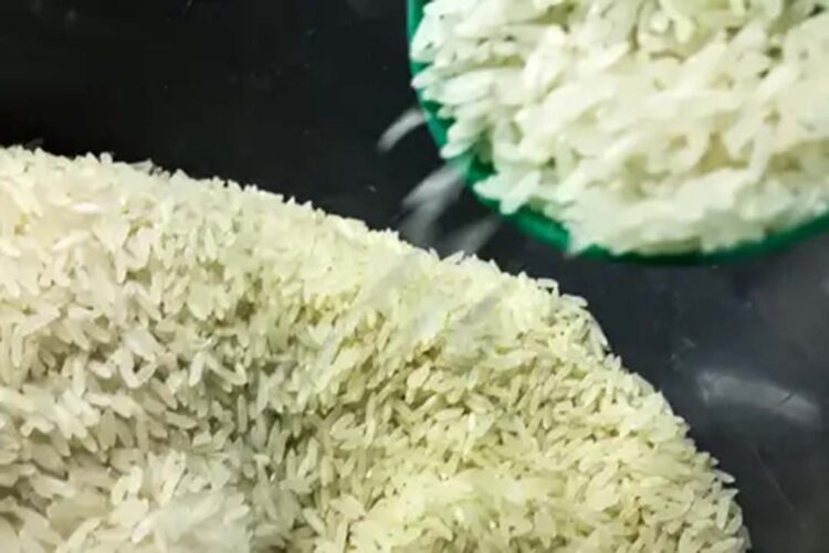 Brasil colherá 297,5 milhões de toneladas de grãos, estima a Conab