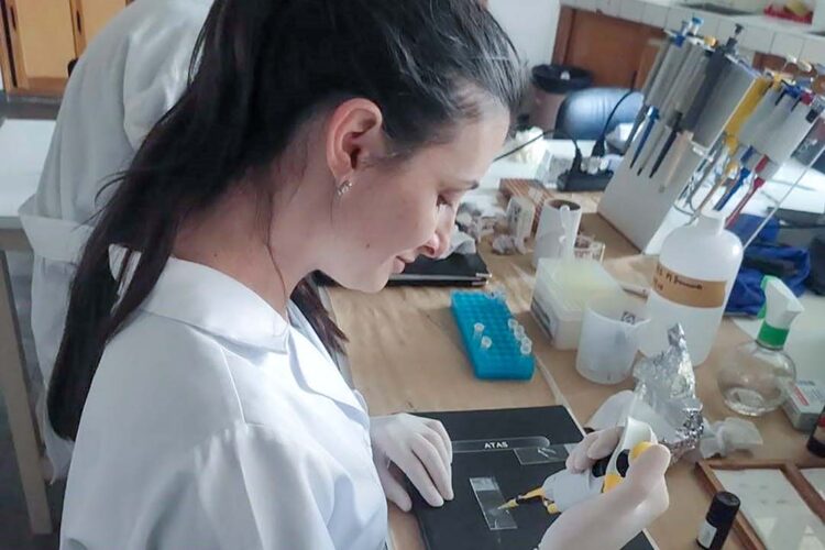 Fundação Araucária avança para reduzir déficit de bolsas de mestrado e doutorado