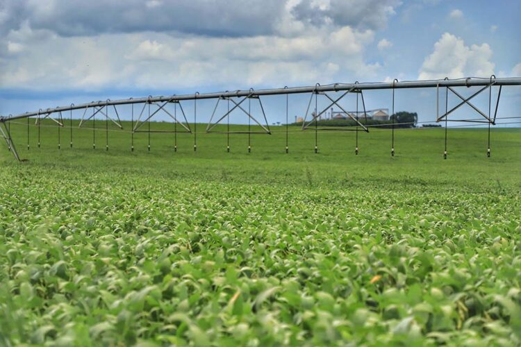 Governador sanciona lei que institui política de segurança hídrica na agricultura no Paraná