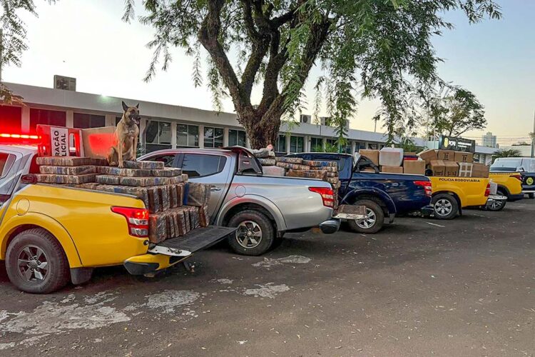 Polícia Rodoviária apreende 1,48 tonelada de maconha