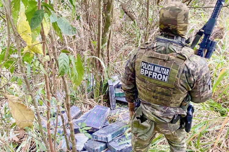 Polícia apreende 1.350 kg de maconha em Cruzeiro do Oeste e Guaíra