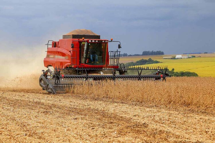 Após queda de 0,07%, saca de soja inicia a segunda-feira (3) custando R$ 133,27