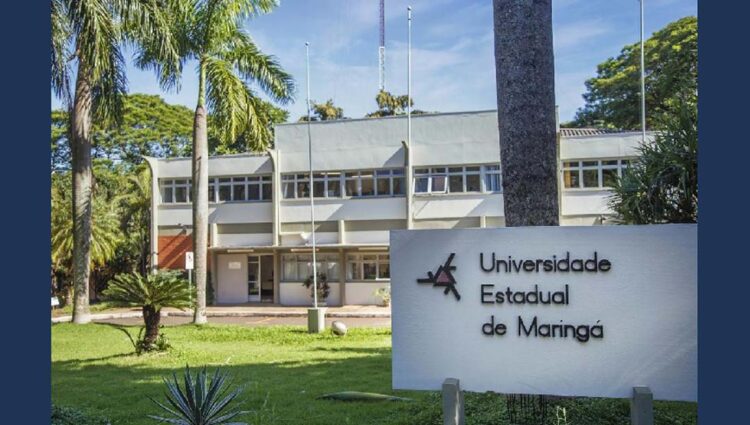 Inscrições para vestibulares da UEM se encerram nesta quarta-feira