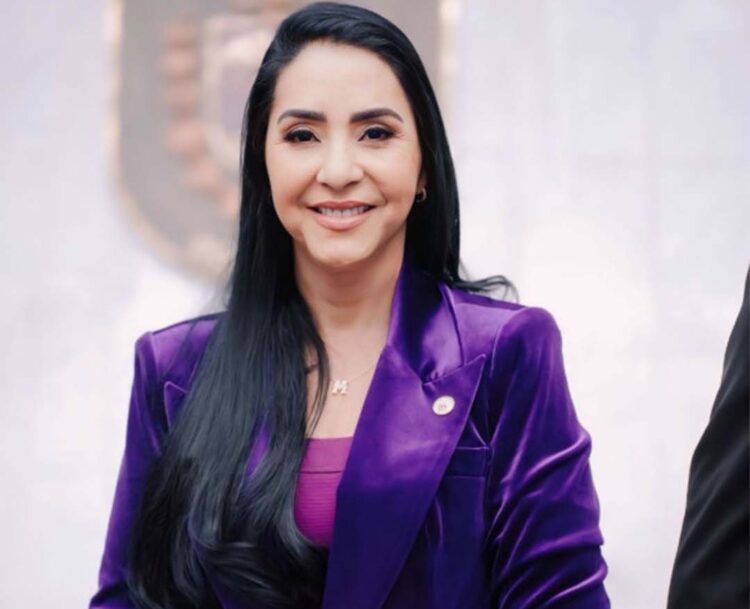 Projeto de lei visa a instituir o enfrentamento  à violência política contra a mulher no Paraná