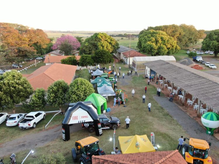 Dia de campo reúne produtores de mandioca em Paranavaí