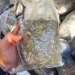 Receita Federal aprende carregamento de maconha e skank na PR 323