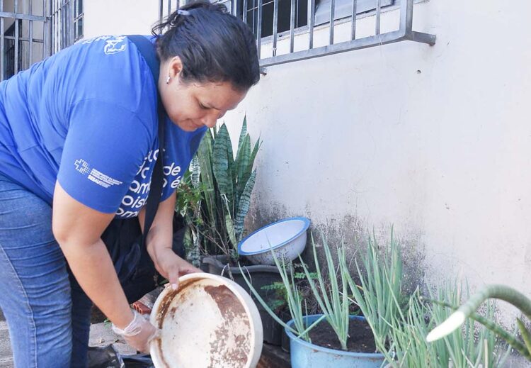 Paraná enfrenta a maior epidemia de dengue  de todos os tempos, diz secretário da Saúde