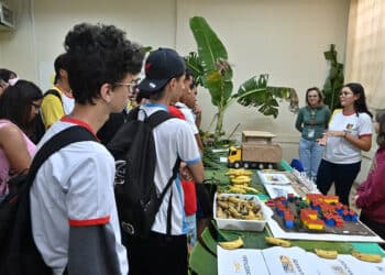 Projetos do Colégio Enira Moraes Ribeiro reforçam aprendizado dentro e fora da sala de aula